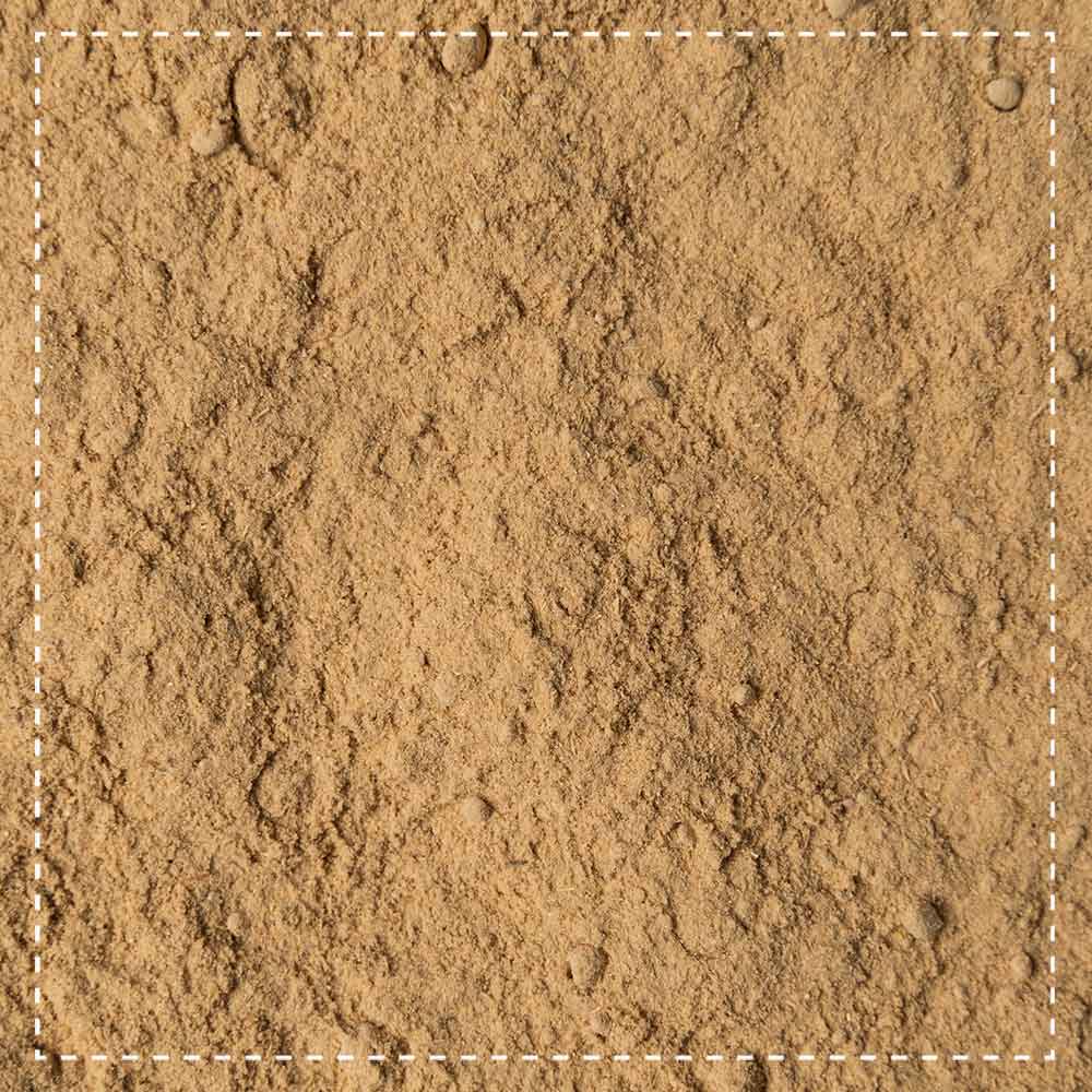 Galgantwurzel gemahlen Bio