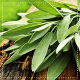 Salbei Tee gerebelt Bio