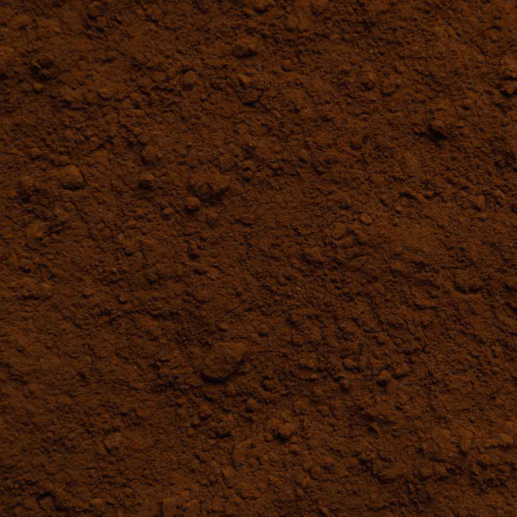 Chaga Pilz Pulver Bio