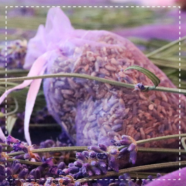 Lavendelblüten ganz Bio