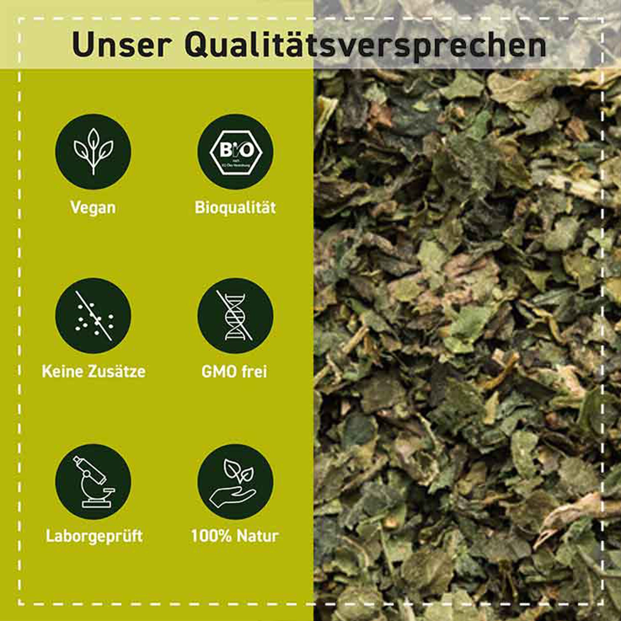 Brennnesselblätter Tee Bio