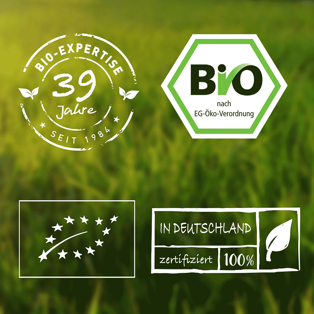 Vitalfrucht Tee Coldbrew Bio 100g