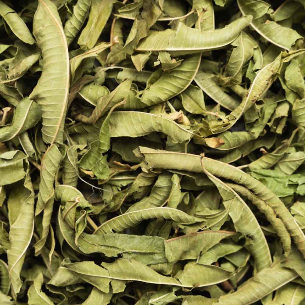 Zitronenverbene Tee Bio 100g