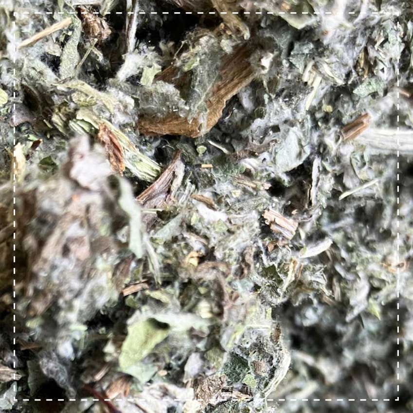 Artischockenkraut Bio 100g