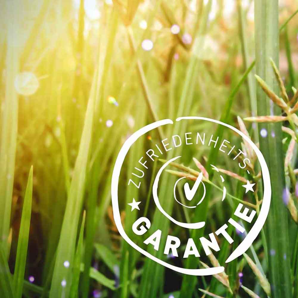 Muskatnuss gemahlen im Glasstreuer Bio 45g