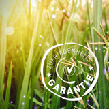 Muskatnuss gemahlen im Glasstreuer Bio 45g