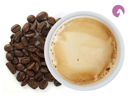 Cavallo Nero Espresso Mild Bohne Bio