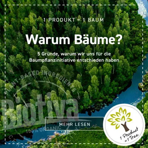 Warum_Baeume