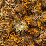 Berg Arnika Blüten ganz Bio 35g