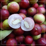 Camu Camu Pulver Bio