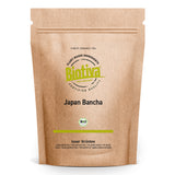 Bancha Grüntee Japan Bio 100g