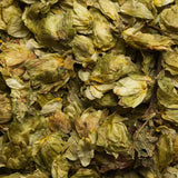 Hopfenblüten Bio