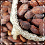 Kakao Pulver stark entölt Bio